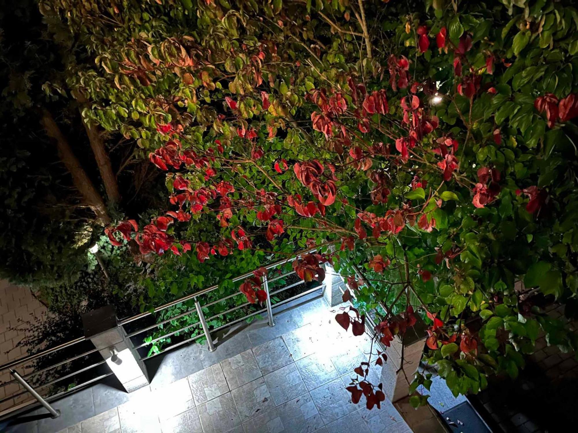 Appartement Klotz